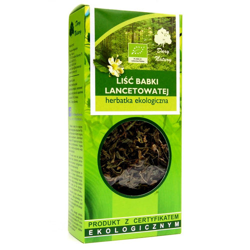 Herbatka liść babki lancetowatej 25 g - Dary Natury (EKO)