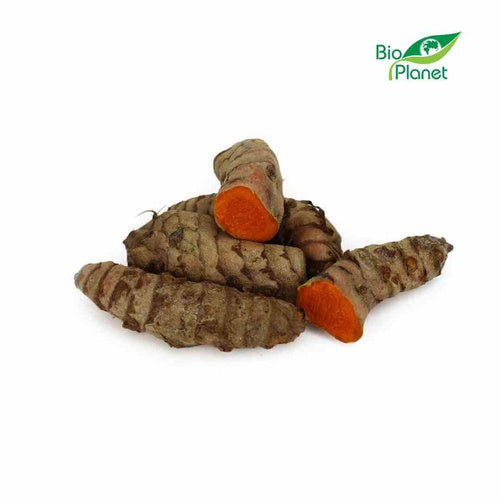 Kurkuma ekologiczna (karton ok. 2 kg) (EKO)
